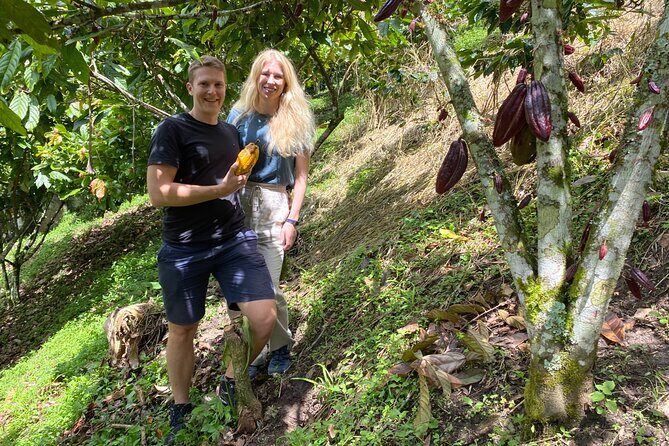 Chocolate tour near Medellin - An In-Depth Look at the Medellín Chocolate Tour