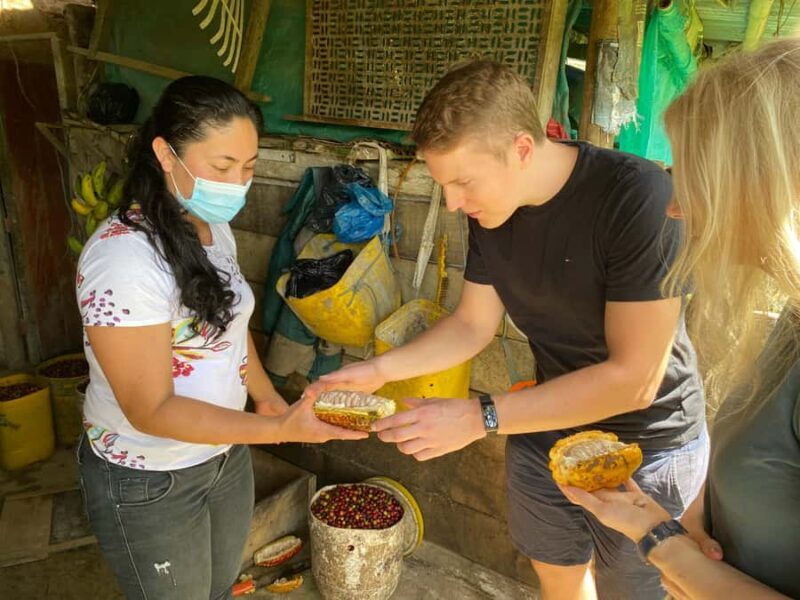 Chocolate tour near the Medellín - What to Expect from the Medellín Chocolate Tour