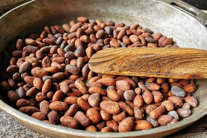 Chocolate Tour Premium: Lunch & Transportation - Discover Costa Rica’s Sweet Traditions with the Chocolate Tour Premium