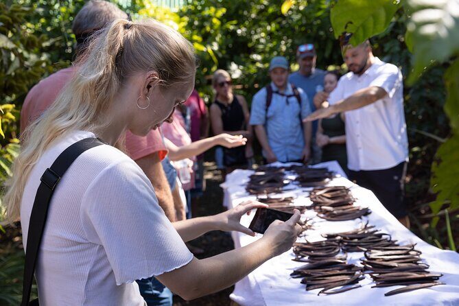 Chocolate Tour Premium: Lunch & Transportation - Final Thoughts