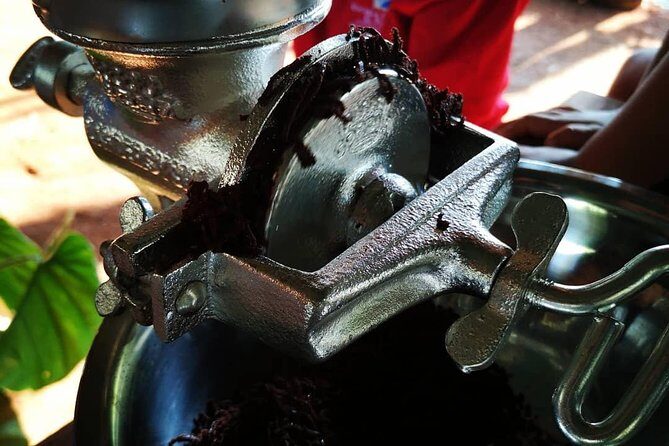 Chocolate Tour Standard #1: Transportation Included without Lunch - FAQs