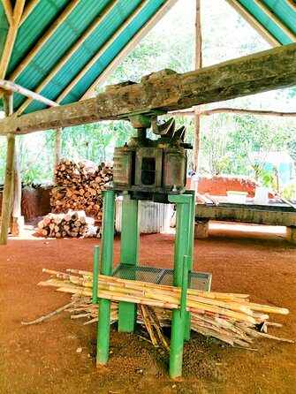 Chocolate Tour Standard #1: Transportation included without lunch - Final Thoughts