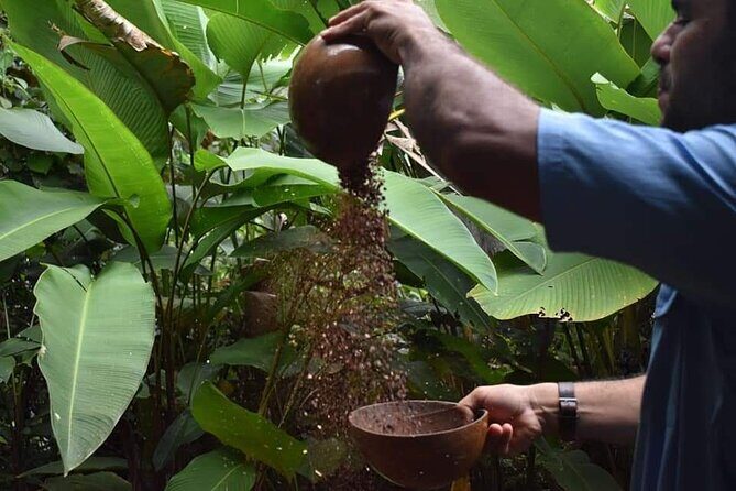 Chocolate Tour with Lunch - Key Points