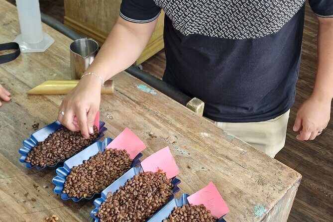 Chocolate Tour with Lunch - The Sum Up: Is It Worth It?