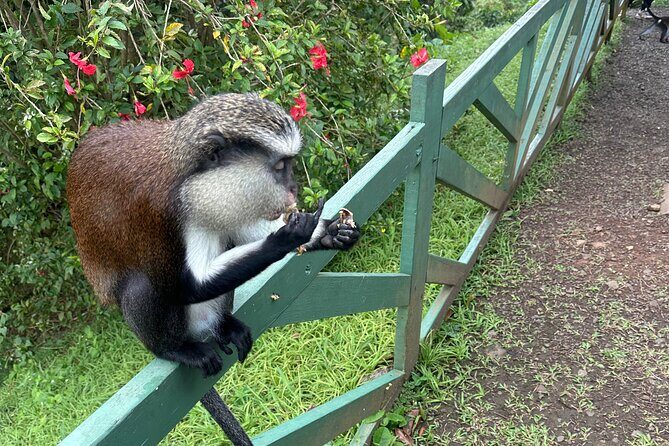 Chocolate, Waterfall, spices and Nature tours! - Key Points