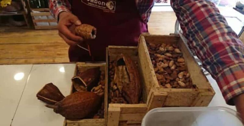 Chocolate workshop - Cocktails and Mojito - A Deep Dive into the Cusco Chocolate Experience