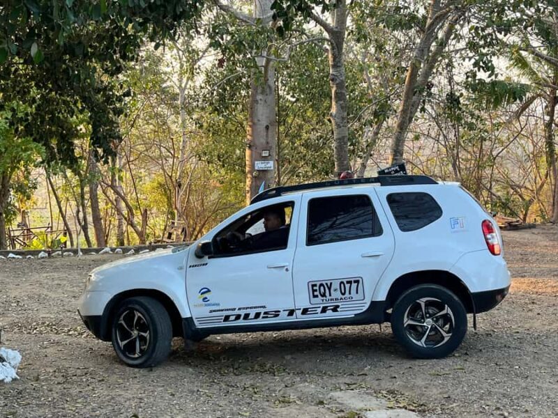 Cholon The party island - Exploring the Details of Cholon The Party Island