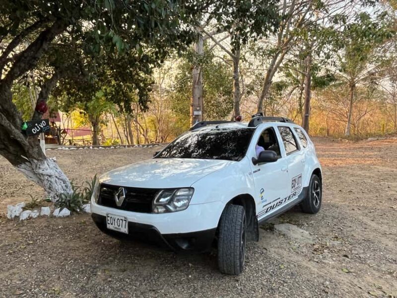 Cholon The party island - FAQ