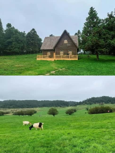 Chongqing: 5-Day Tour with Wulong & Fairy Mountain - Exploring Chongqing’s Diverse Landscape in 5 Days