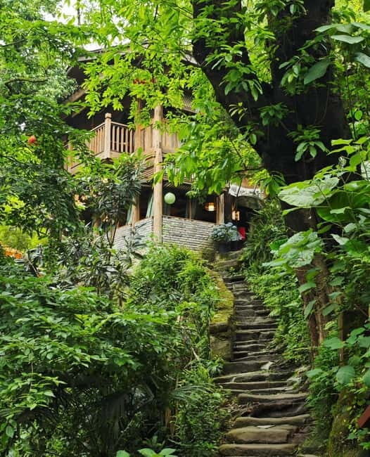 Chongqing Beibei: Scenic Mountain, University & Old Street - Key Points