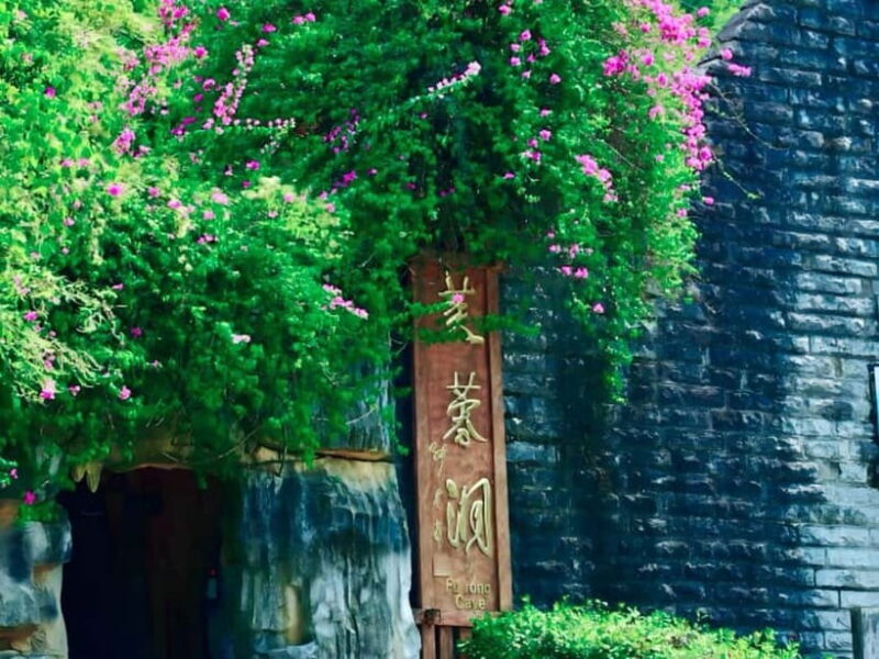 Chongqing Explore Wulong Private Day Tour - Exploring the Wulong Wonders: A Deep Dive into the Tour Experience