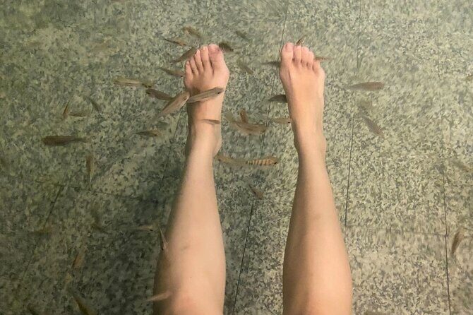 Chongqing Luxury Hot Spring and Massage Luxury Meal Private Tour - Who Is This Tour Best For?