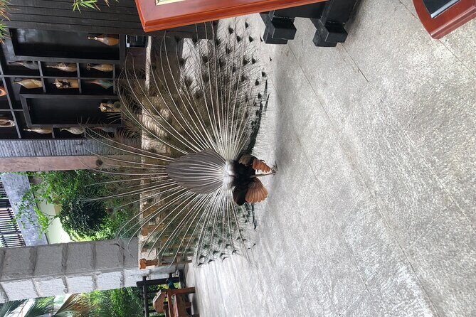 Chongqing Luxury Hot Spring and Massage Luxury Meal Private Tour - Final Thoughts