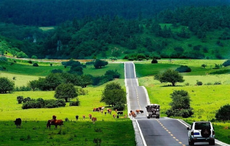 Chongqing One-Day Trip: Wulong's 3 Essentials - Exploring Wulong in Depth: What You Can Expect