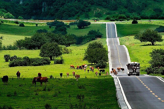 Chongqing Private Day Tour to Wulong Karst National Geology Park - Key Points