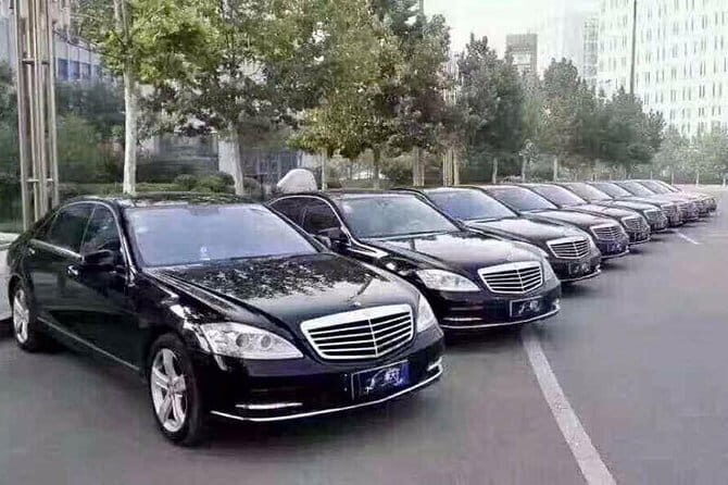 Chongqing Private Round Trip Transfer to Dazu Rock Carvings - Detailed Review