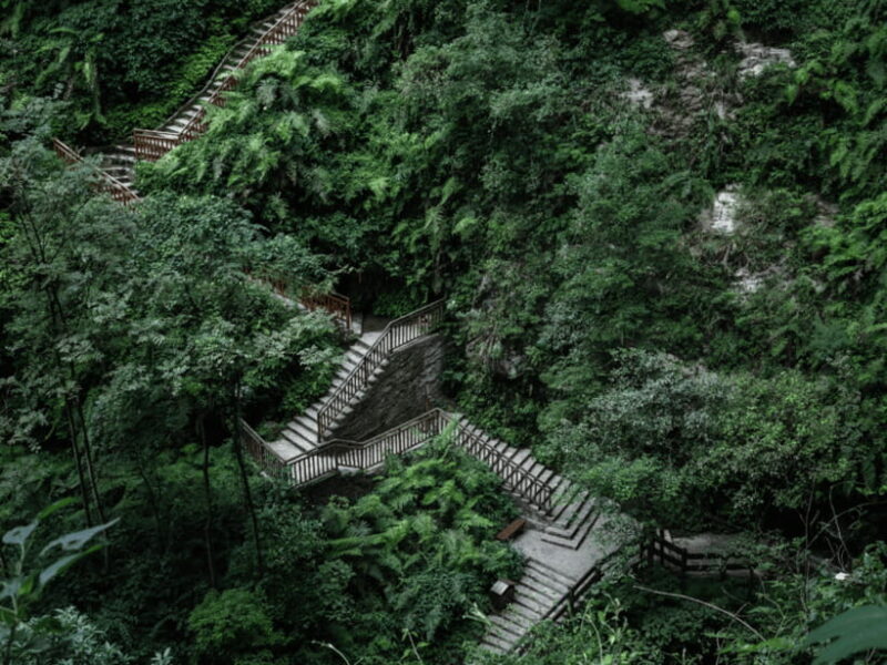 Chongqing: Wulong 2 Spots All-inclusive Luxury Private Trip - Who Will Love This Tour?