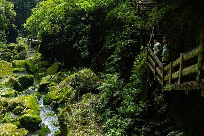 Chongqing Wulong: All inclusive luxury private trip to 2 spots - Longshuixia Gap: A Dramatic Canyon