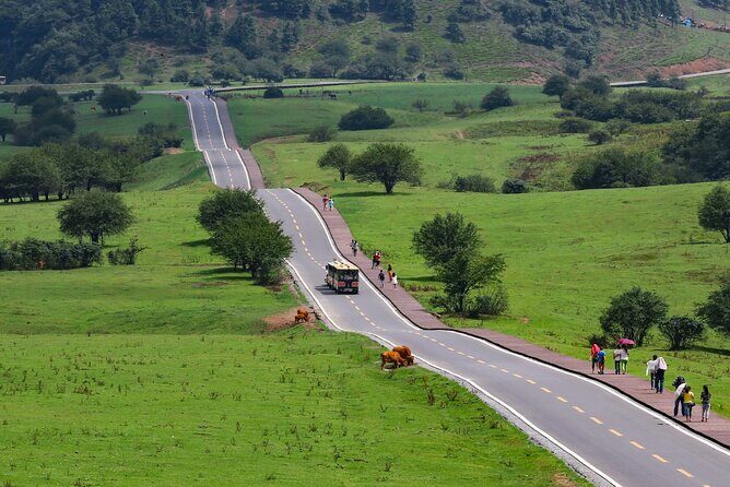 Chongqing Wulong: All inclusive luxury private trip to 2 spots - Who Should Book This Tour?