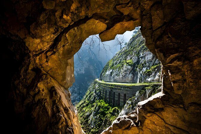 Chongqing Wulong National Park Private Nature Tour - What the Experience Means for Travelers