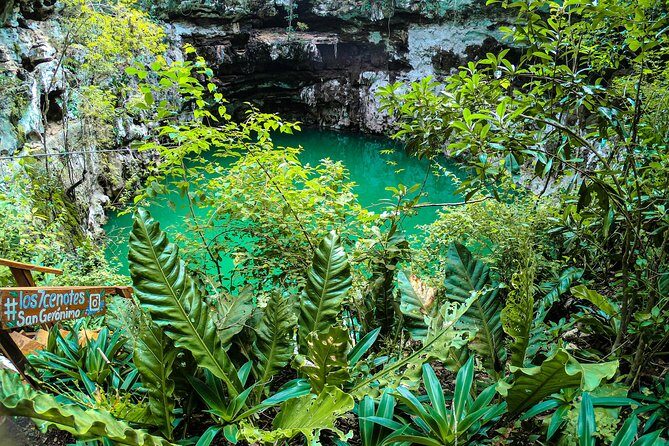 Choose your experience to live in Los 7 Cenotes San Gerónimo - Authentic Experiences That Deliver Value