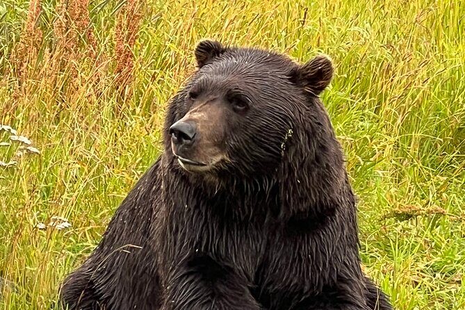 Choose Your Own Adventure from Anchorage Alaska - Frequently Asked Questions