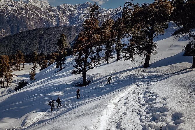 Chopta Trek - What Makes This Trek Special?