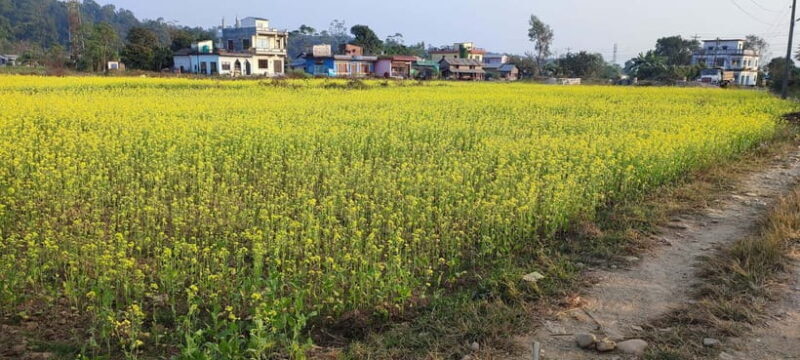 Chormara: Homestay, Meals, & Cultural Immersion Program - Key Points