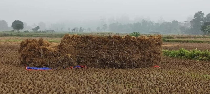 Chormara: Homestay, Meals, & Cultural Immersion Program - Volunteer at Chormara’s Primary School