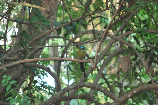 Chorro Rafting - FAQs about Chorro Rafting