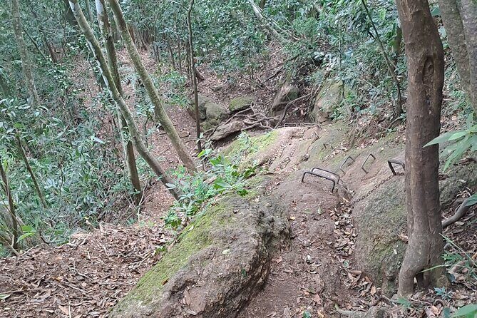 Christ the Redeemer Adventure - FAQs