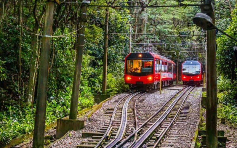 Christ the Redeemer Entry Ticket by Corcovado Train - The Crowds and Queues