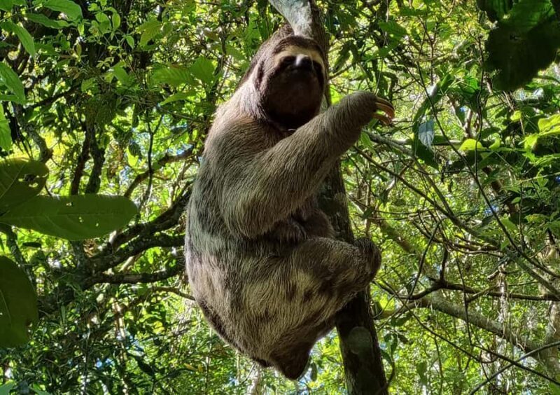 Christ the Redeemer Hiking: Journey to Rio's Iconic Landmark - Final Thoughts