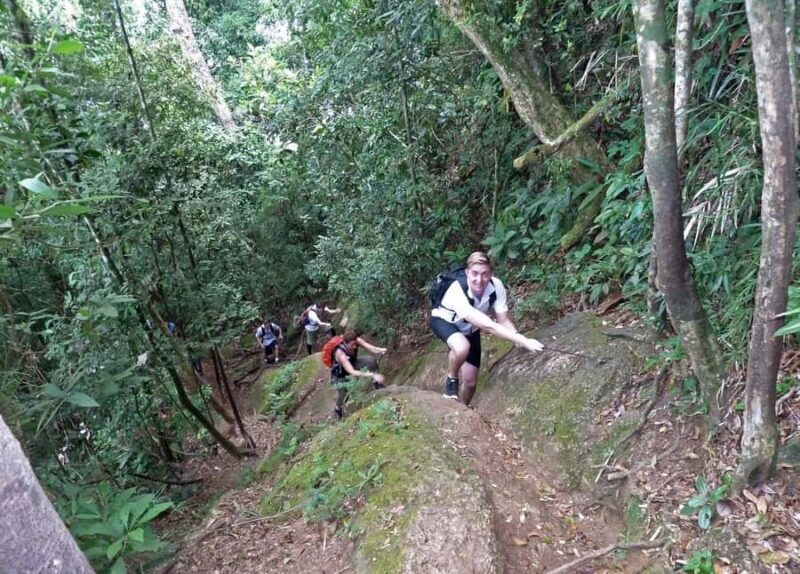 Christ the Redeemer through Lage Park 6-Hour Hiking Tour - The Journey Begins: Parque Lage and the Atlantic Rainforest