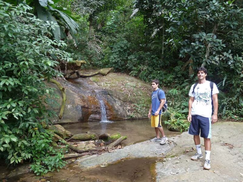 Christ the Redeemer through Lage Park 6-Hour Hiking Tour - Reaching the Summit: Incredible Views and Insightful Stories