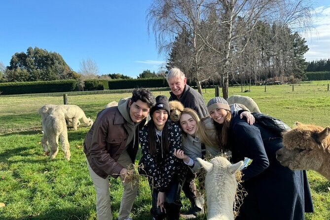 Christchurch Alpaca Farm Tour From Kaiapoi - Final Thoughts