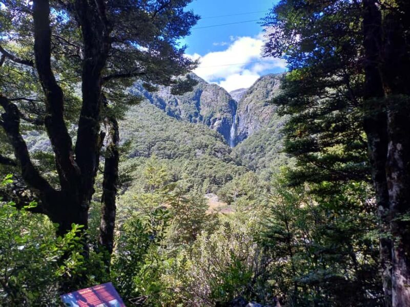 Christchurch: Arthur's Pass & Castle Hill Scenic Day Tour - Key Points