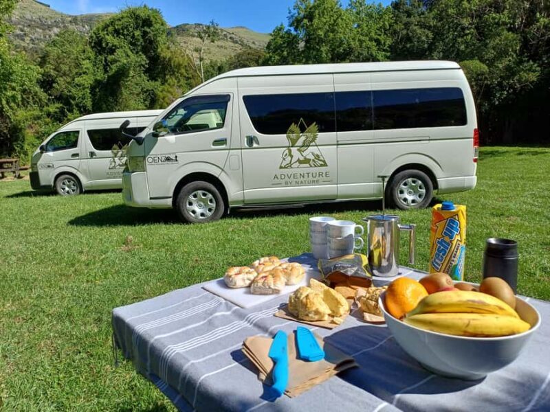 Christchurch: Arthur's Pass & Castle Hill Scenic Day Tour - Optional Upgrade: The TranzAlpine Scenic Train