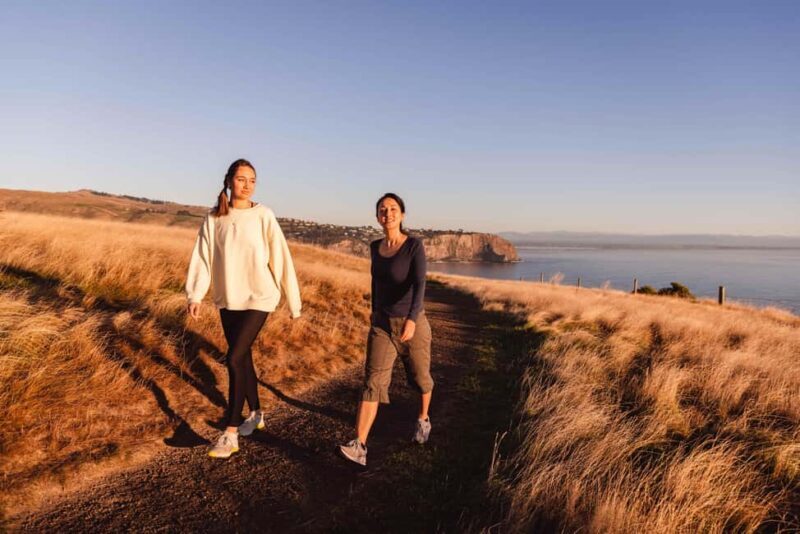 Christchurch: Godley Head & Lyttelton Guided Walking Tour - Christchurch: Godley Head & Lyttelton Guided Walking Tour