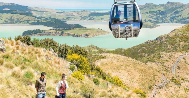 Christchurch Gondola and Tram City Tour Combo - Final Thoughts