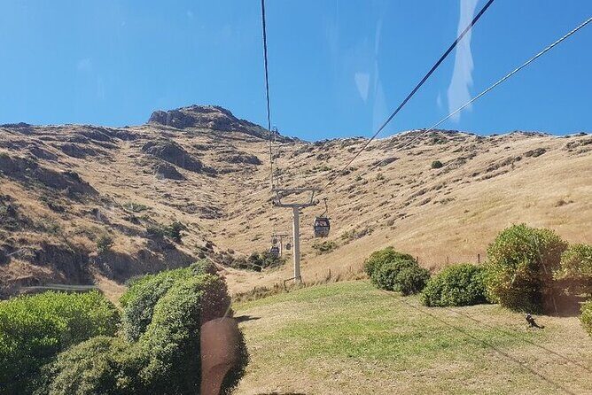 Christchurch Gondola Ride Ticket - The Value Proposition: Who Should Consider This Tour?