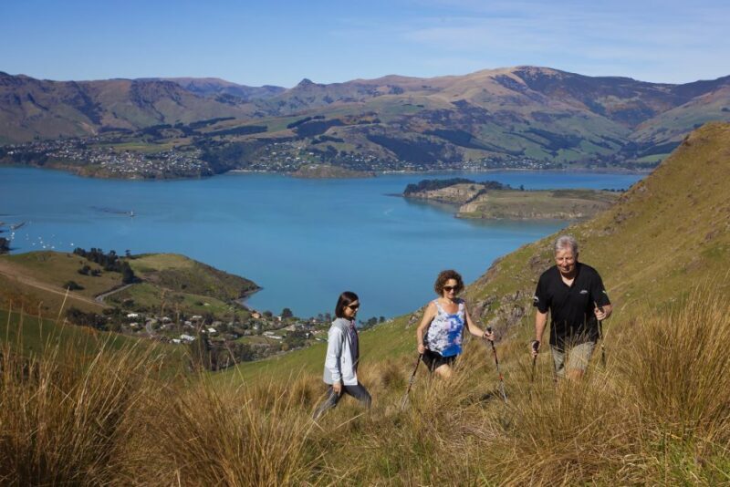 Christchurch: Guided Crater Rim Walk with Picnic - Final Thoughts: Who Will Love This?