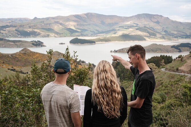 Christchurch Highlights Tour (Full Day Private) - Exploring Christchurch with the Green Kiwi Tours Full-Day Private Experience