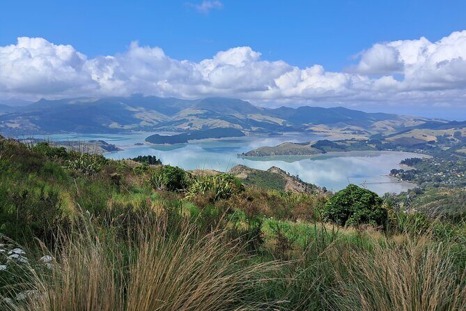 Christchurch Highlights Tour (Full Day Private) - Why This Tour Works Well for Travelers
