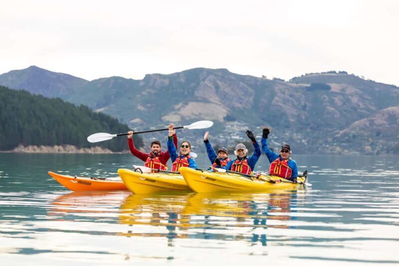 Christchurch: Sea Kayaking Tour of Lyttelton Harbour - An In-Depth Look at the Christchurch Sea Kayaking Experience