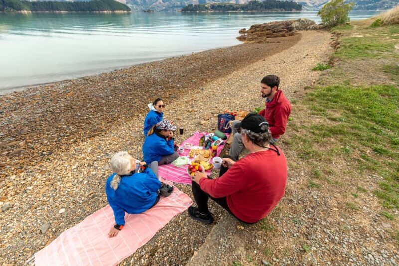 Christchurch: Sea Kayaking Tour of Lyttelton Harbour - Frequently Asked Questions