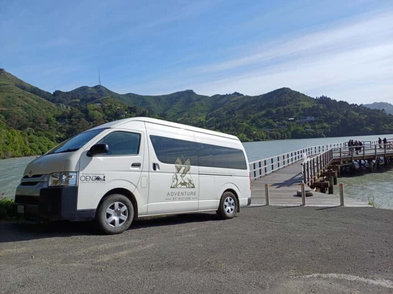 Christchurch: Sea Kayaking Tour of Lyttelton Harbour - Final Thoughts