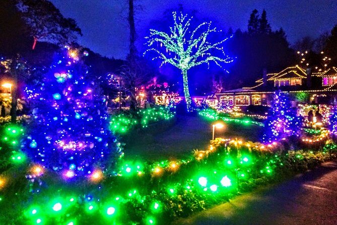 Christmas in Victoria and the Butchart Gardens - A Deep Dive into the Christmas Tour of Victoria and Butchart Gardens