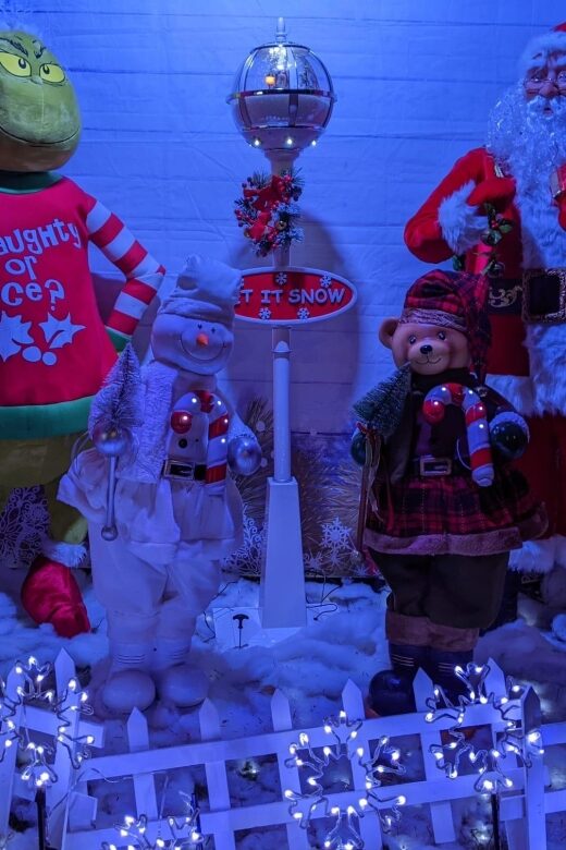 Christmas Light Night tour - Key Points