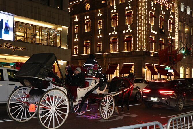 Christmas Light Private Carriage Ride New York City - The Sum Up